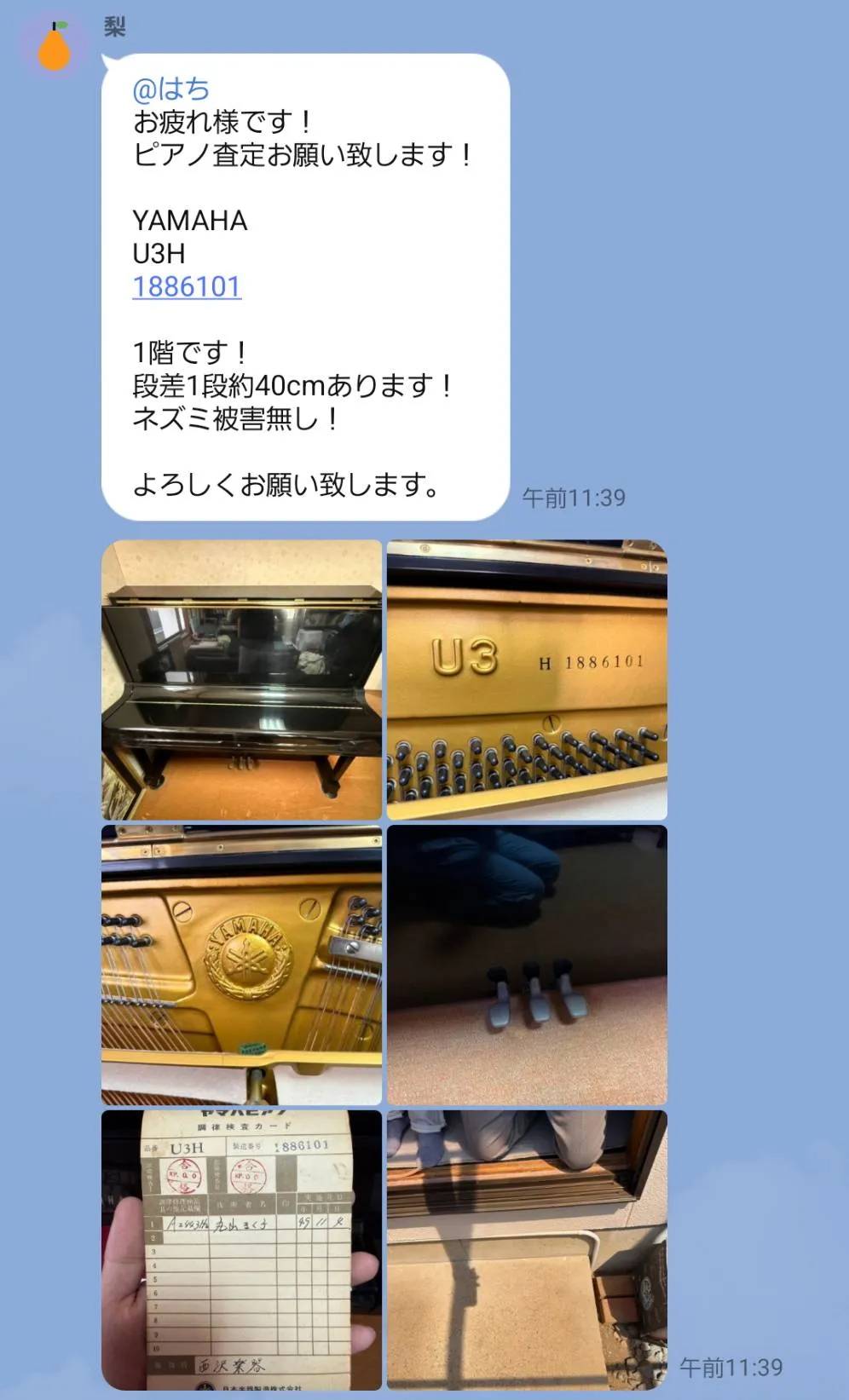 ピアノ査定報告例